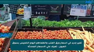 تغير جديد في أسعار ورق العنب والطماطم اليوم الخميس بسوق العبور.. تعرف على الأسعار المحدثة